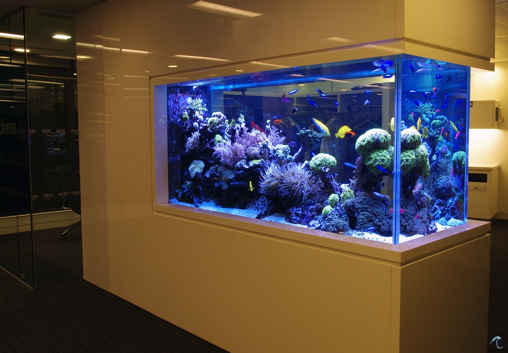 Aquatic Design Centre