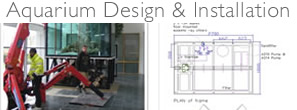 London Aquarium Design and Installation