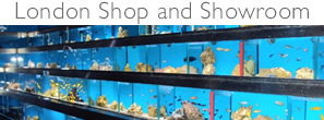 London Aquarium Fish Tank Shop