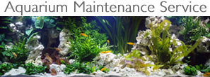 london-aquarium-maintenance-service