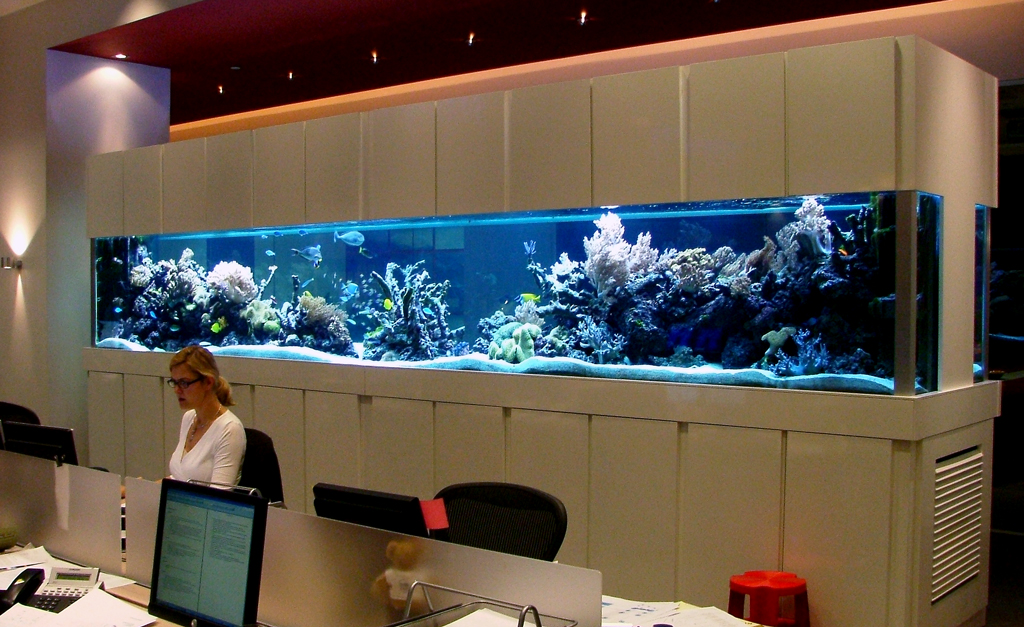 The Aquatic Design Centre ADC Aquarium Design, Bespoke Aquariums, Manufacture, Installation