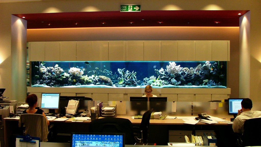 The Aquatic Design Centre ADC Aquarium Design, Bespoke Aquariums