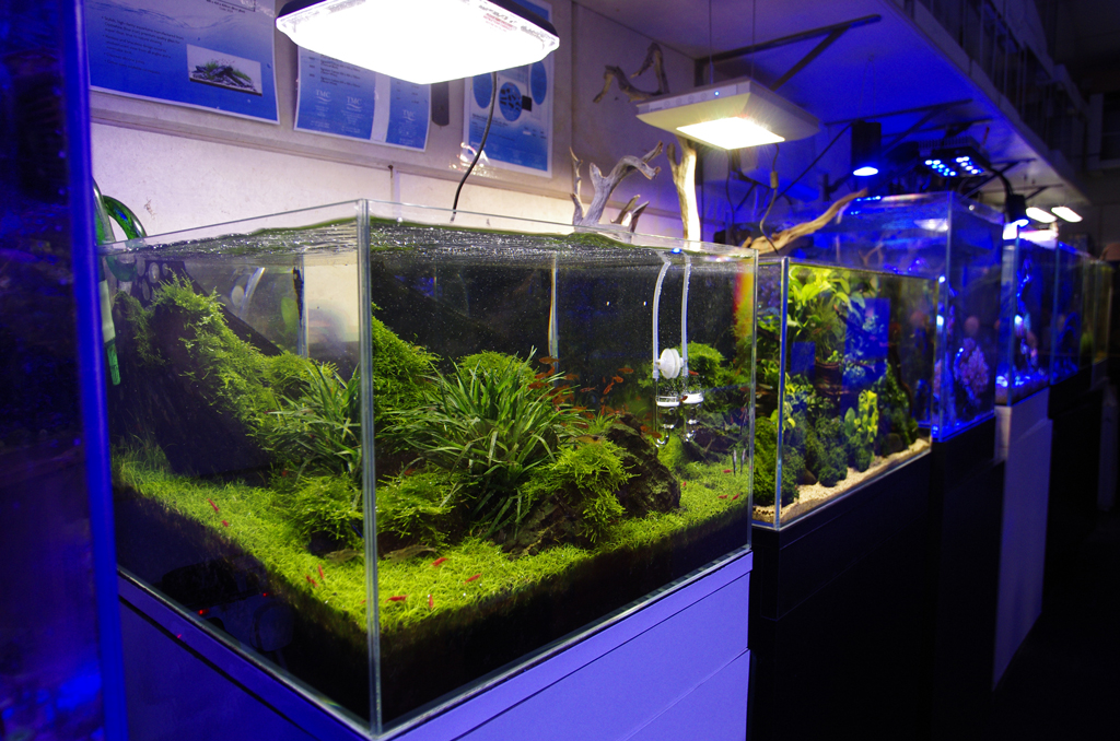 Visit our London shop for Aquariums / Fish Tanks, Marine, Tropical