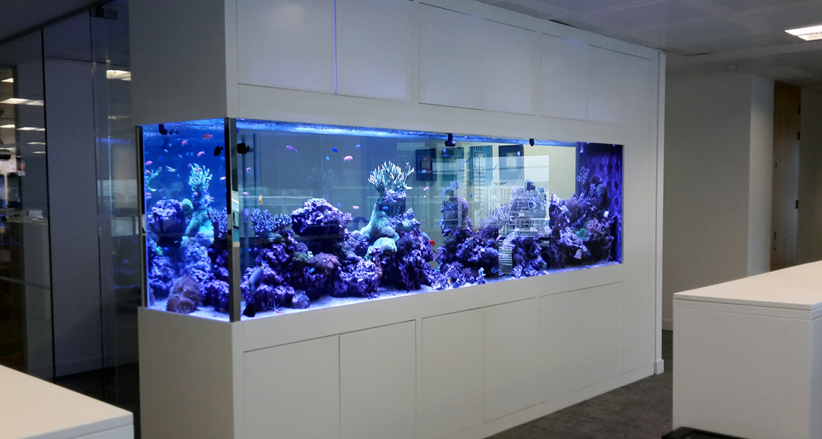 Aquatic Design Centre