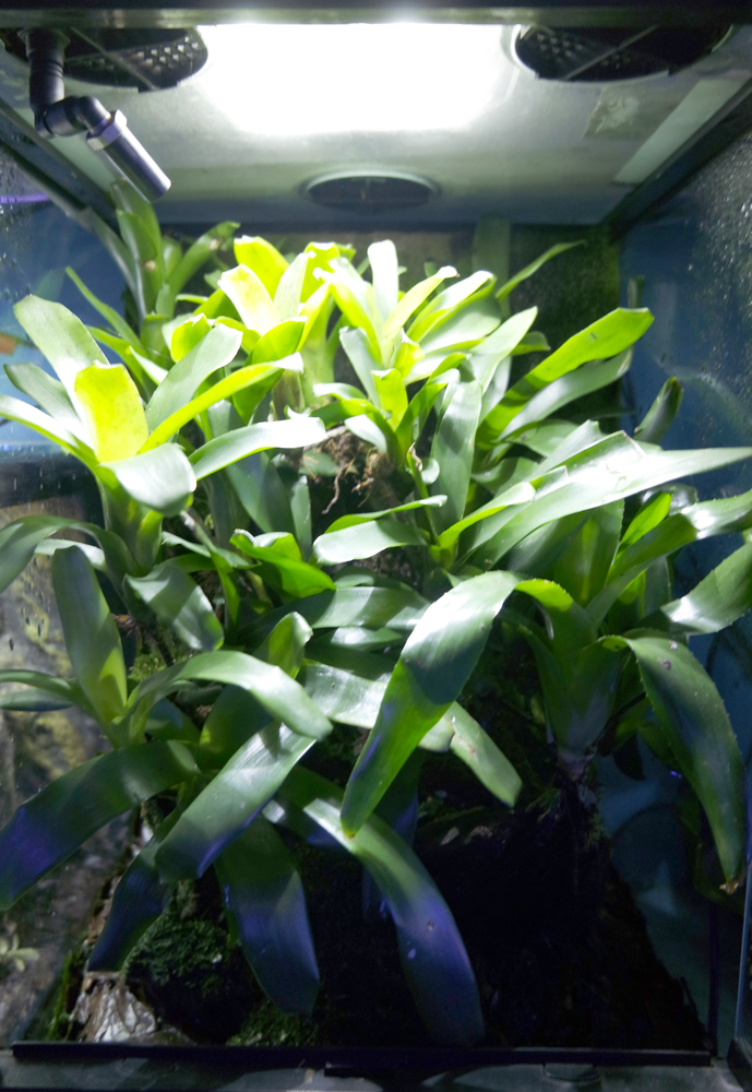 AQUATIC DESIGN CENTRE Ltd Aquarium Design Specialists, Bespoke
