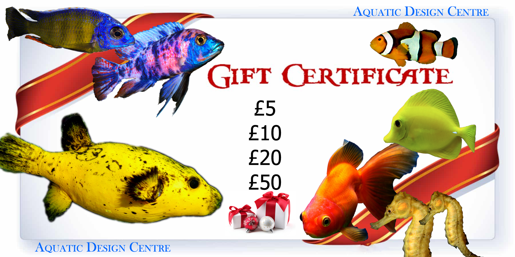 Aquatic Design Centre