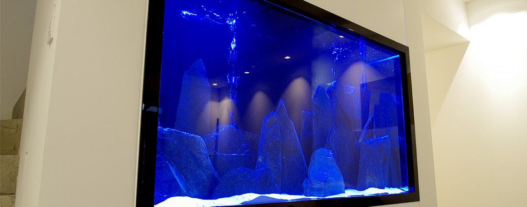 cichlid-designer-aquarium-blue-led-lighting