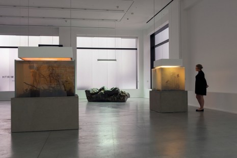 Pierre Huyghe aquariums 2