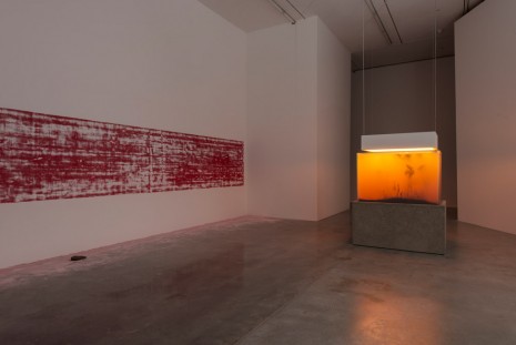 Pierre Huyghe aquariums 3