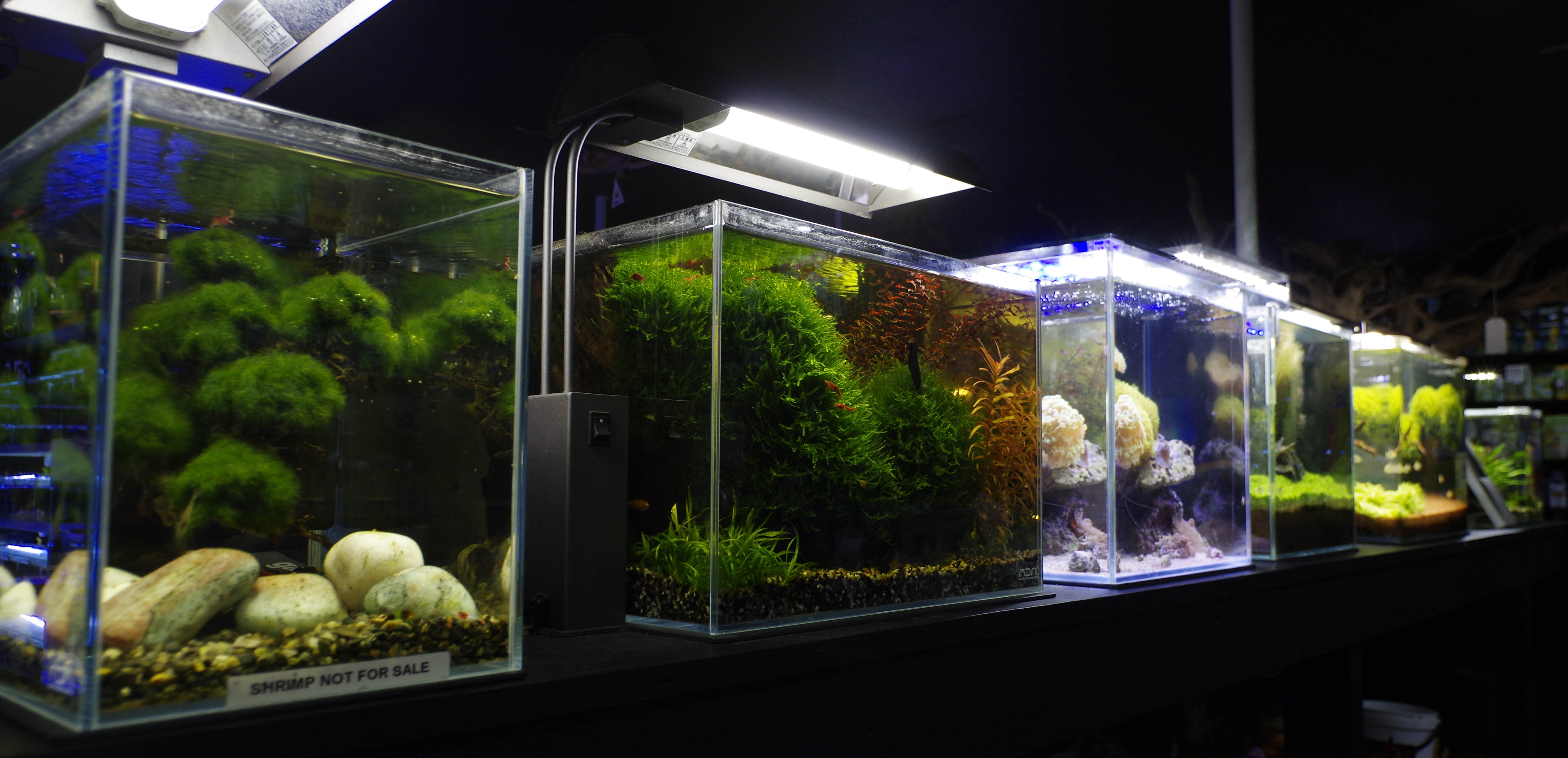 Aquatic Design Centre