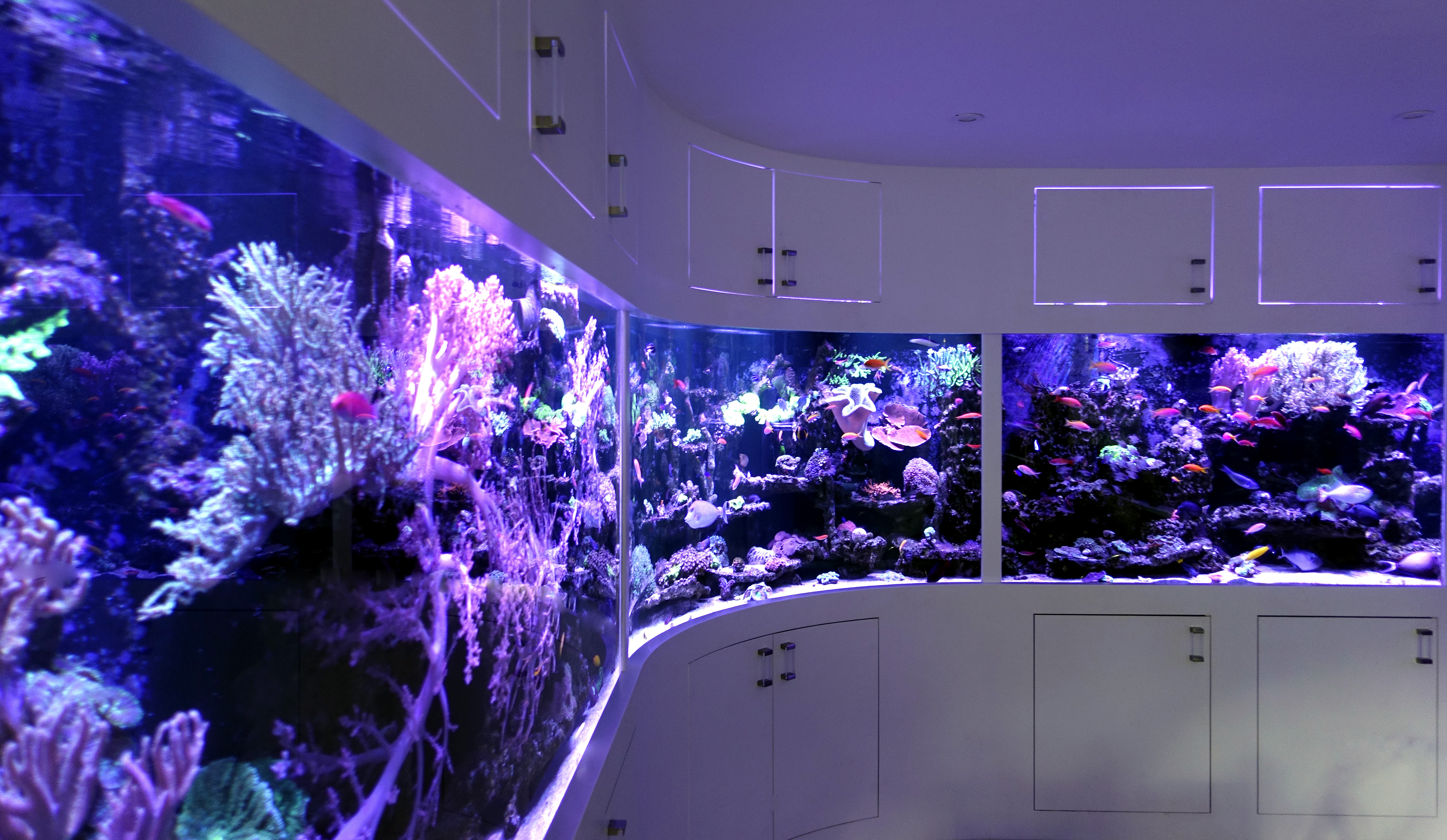 Aquatic Design Centre