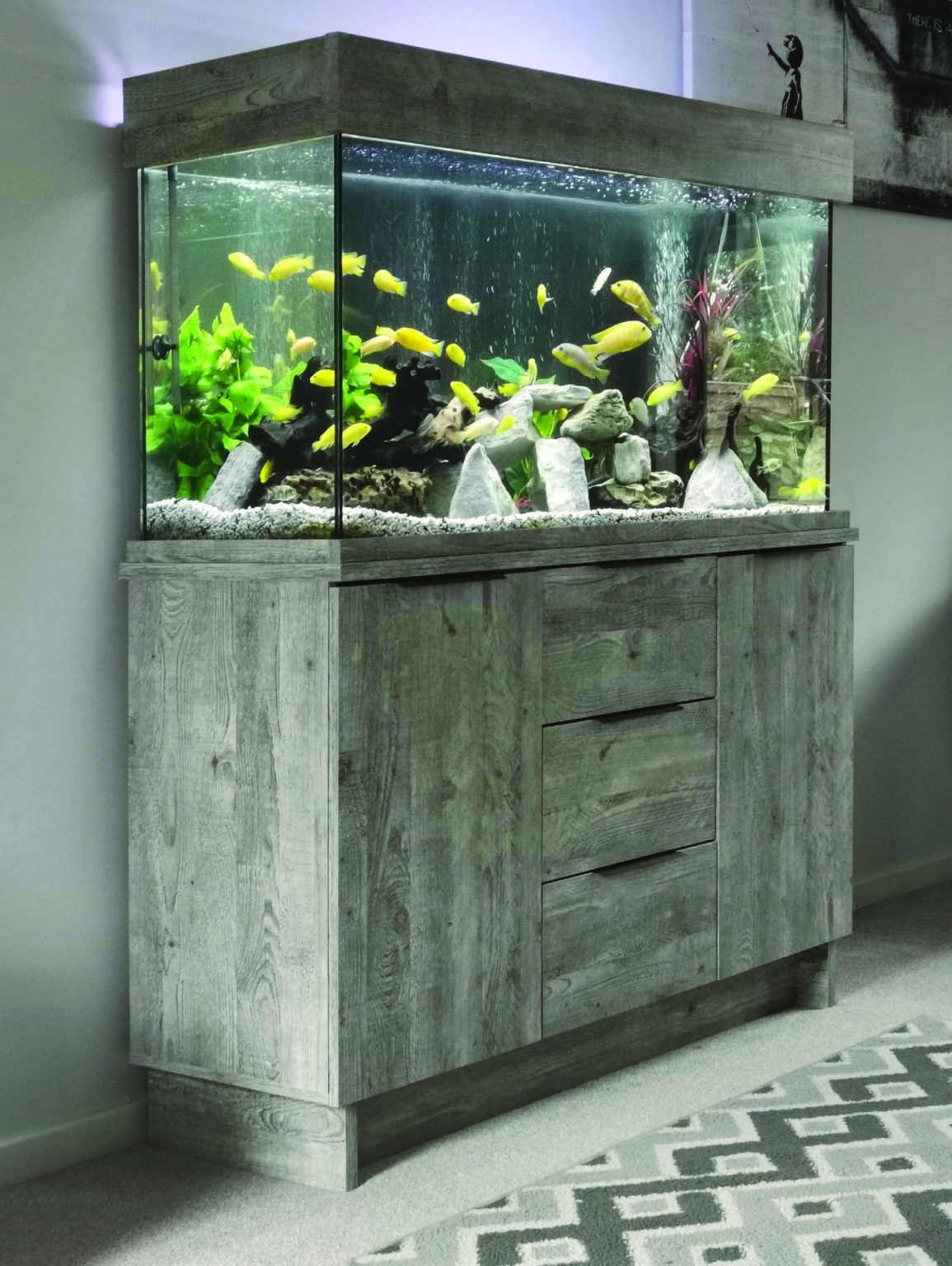 Aquatic Design Centre